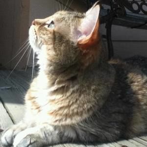 Meet your Posher, Scott